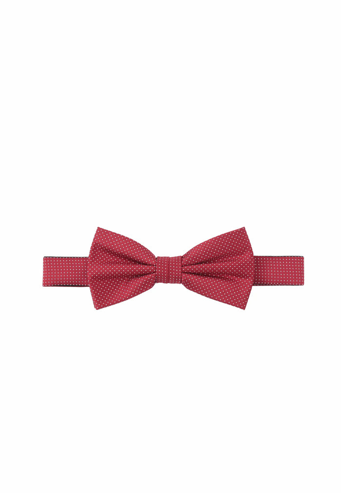 Nœud papillon en soie pour homme – Picoté
