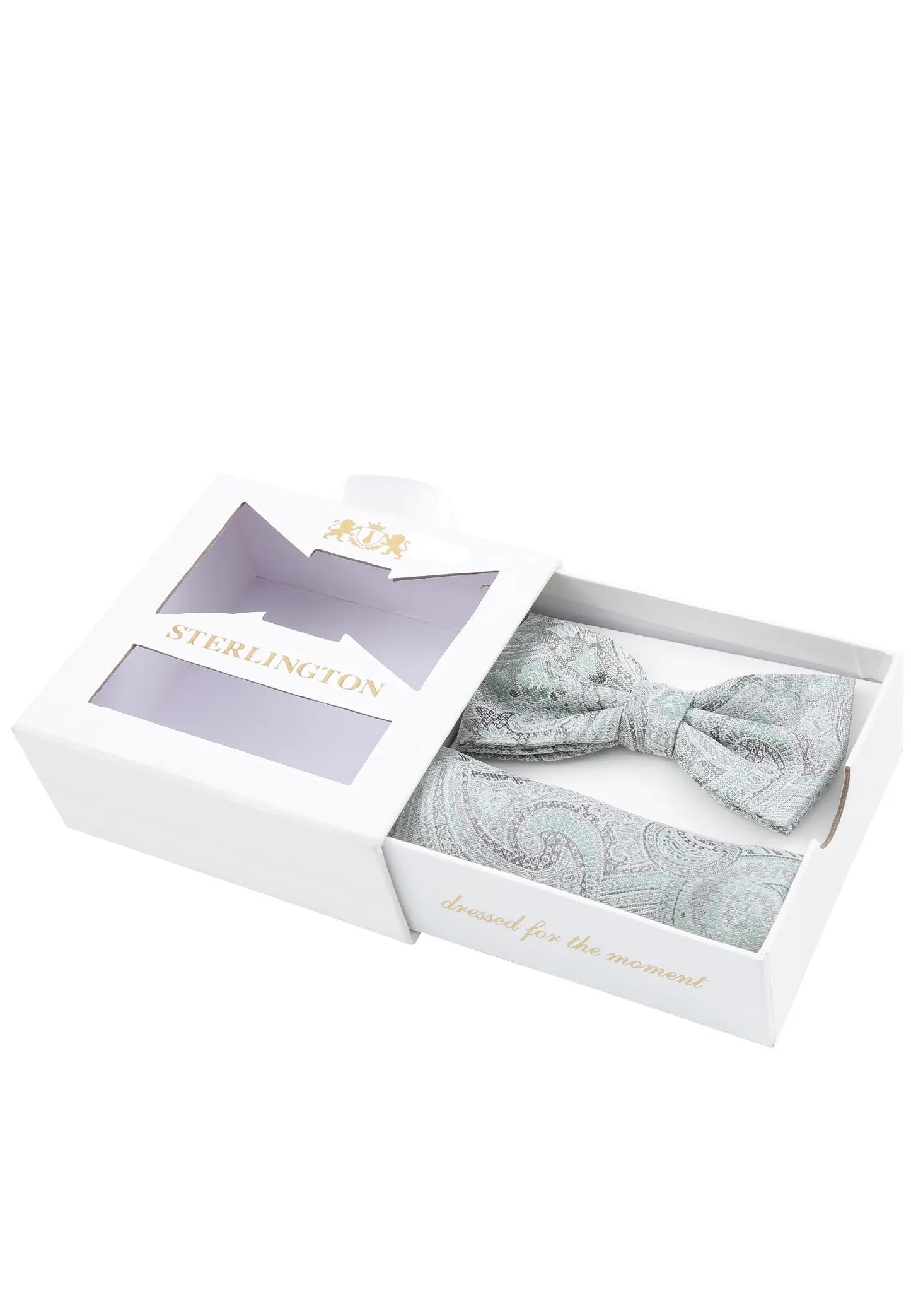 (Grün) Fliege Einstecktuch Set Sterlington – Geschenkbox schräg geöffnet