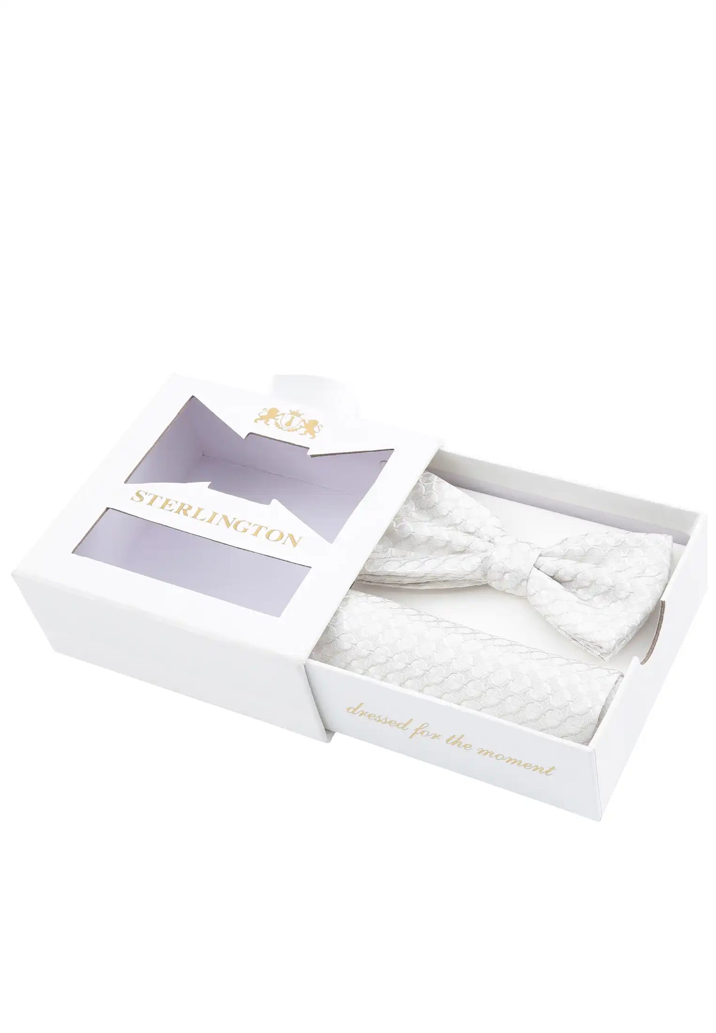 (Champagner) Fliege Einstecktuch Set Sterlington – Geschenkbox schräg geöffnet
