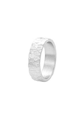 Ring aus Edelstahl – Rhone