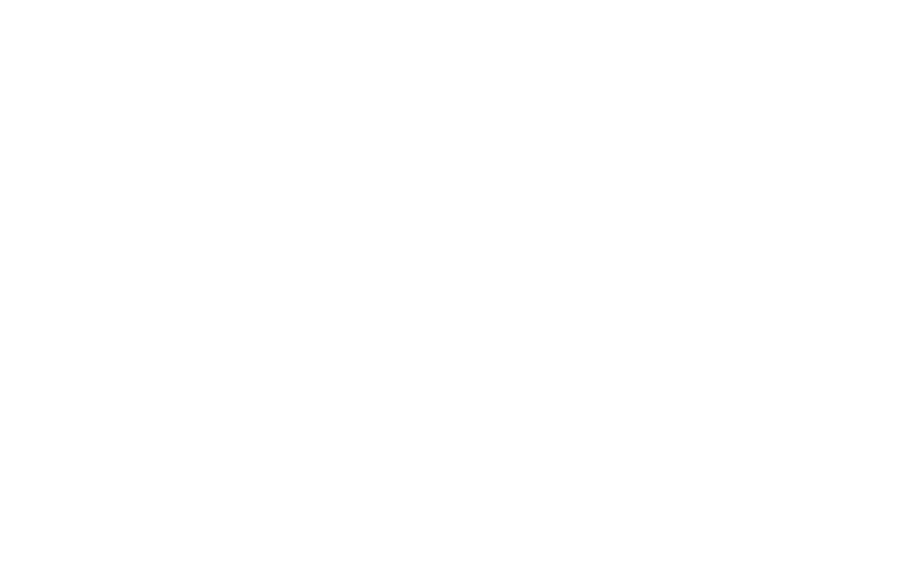 style4him-logo-weiss